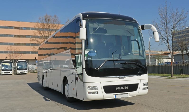 Buses operator in Venice